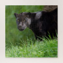 Suche nach jaguar puzzle Großkatze