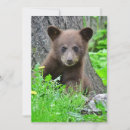 Recherche de cubes vœux cartes Animal