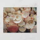 Suche nach anna postkarten Strand