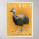 Recherche de cassowary posters Animal
