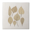 Recherche de dessin botanique carreaux Feuille