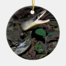 Suche nach wild lebende tiere ornamente Zoo