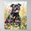 Recherche de corso de canne art Dog