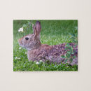 Suche nach kaninchen puzzle Tiere