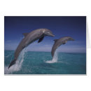 Suche nach karibische meere postkarten Finale