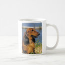 Recherche de longs cheveux tasses Chien