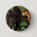 Suche nach miniatur buttons Pferd