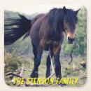 Suche nach wilde pferde untersetzer Natur