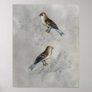 Suche nach aviary poster Tiere