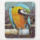 Suche nach blauer vogel mousepads Haustier