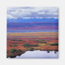 Suche nach tundra Herbst