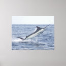 Suche nach schwertfische poster Speerfisch
