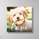 Recherche de photo memorial Dog