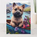 Suche nach cairns karten Hund