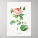 Suche nach botanische illustration poster Blume