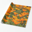 Suche nach mohnblumen geschenkpapier Kalifornien