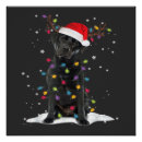 Recherche de chiens noirs posters Animal