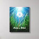 Suche nach löwenzahn poster leinwandbilder Makro