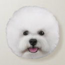 Recherche de la frise coussins Mignon