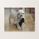 Suche nach französische bulldoggen puzzle Frenchie