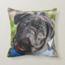 Suche nach headshot kissen Mops