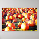 Recherche de correction posters Correction de citrouille