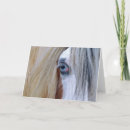 Suche nach roma karten Vanner