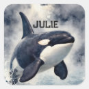 Suche nach orca Schwertwal