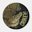 Recherche de crocodiles magnets Pour tous