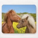 Suche nach isländisches pferd mousepads Pony