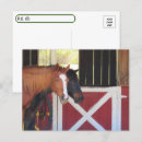 Recherche de stable cartes postales Chevaux