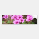 Suche nach wildblume autoaufkleber Für sie