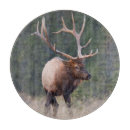 Recherche de taureau planches à découper Bois