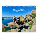 Suche nach puggles Mops