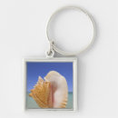 Recherche de coquille de conque porteclés Plage