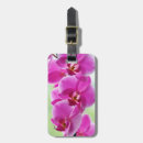 Suche nach orchideen gepäckanhänger Blumen