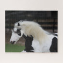 Recherche de gitan puzzles Cheval