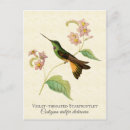 Suche nach vintage lila blume postkarten Natur