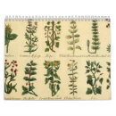 Recherche de vintage calendriers Fleurs