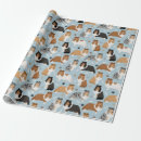 Recherche de sheltie papier cadeau Dog