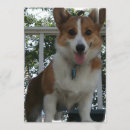 Recherche de race de chien invitations Corgi