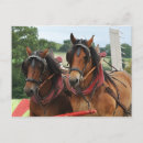 Recherche de moisson cartes postales Ferme