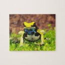 Recherche de amphibien puzzles Coloré