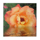 Suche nach orange rosen fliesen Mit blumen