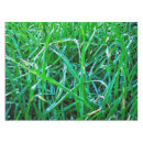 Recherche de photo nappes Été