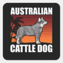 Recherche de chiens de bétail cadeau emballages Chien australien
