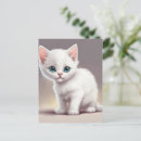 Recherche de petit chat blanc cartes postales Mignon