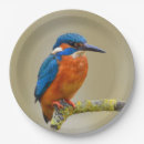 Recherche de britannique photographie Oiseau