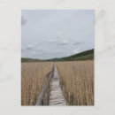 Recherche de roseau cartes postales Pour tous