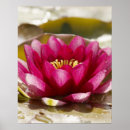 Recherche de tache floue posters Fleur